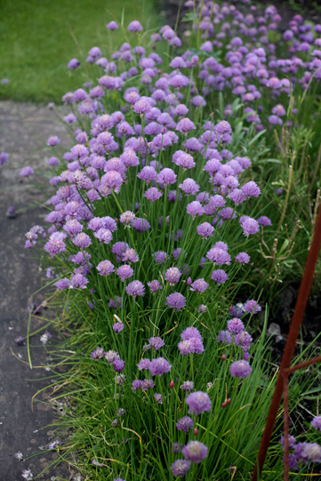 weddingchives-small